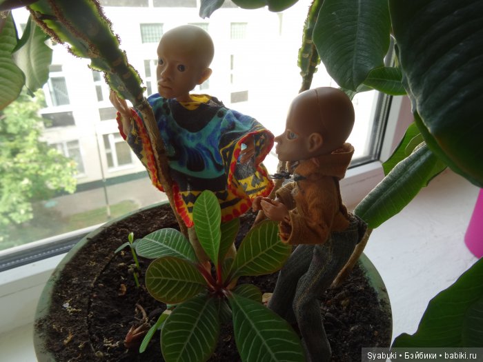 Первая история — Куклы AmiGaTa (АмиГаТа): авторские BJD (БЖД)