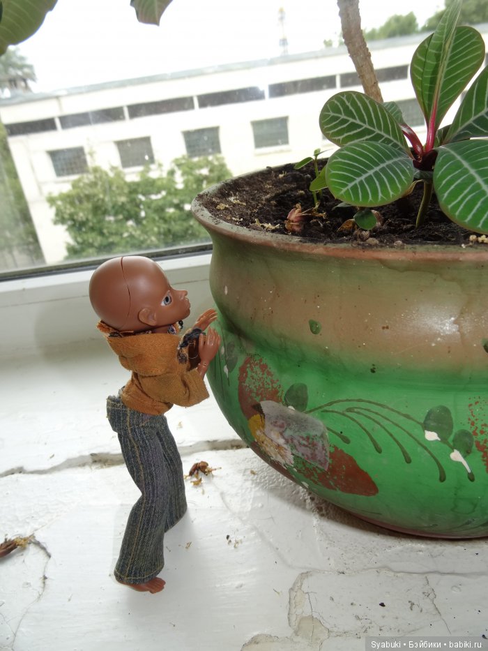 Первая история — Куклы AmiGaTa (АмиГаТа): авторские BJD (БЖД)