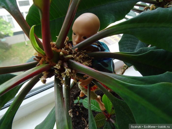 Первая история — Куклы AmiGaTa (АмиГаТа): авторские BJD (БЖД)