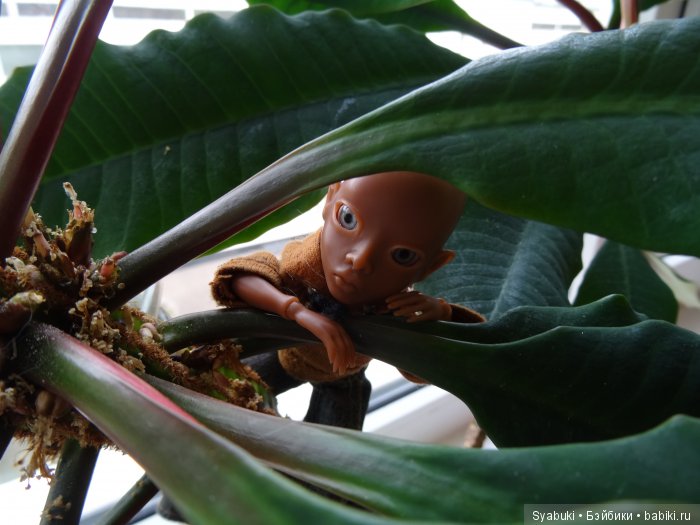 Первая история — Куклы AmiGaTa (АмиГаТа): авторские BJD (БЖД)