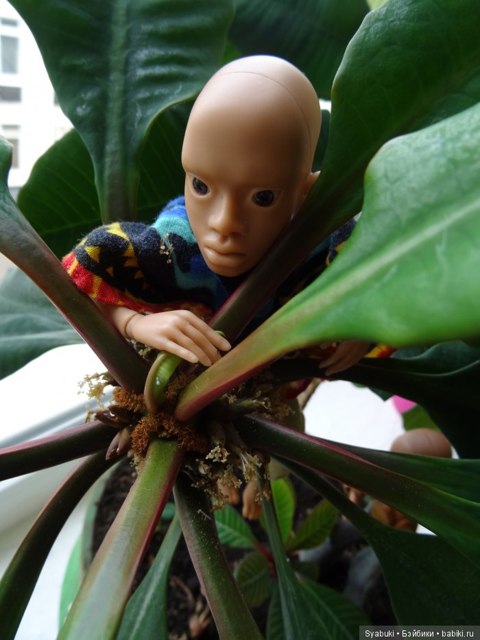 Первая история — Куклы AmiGaTa (АмиГаТа): авторские BJD (БЖД)