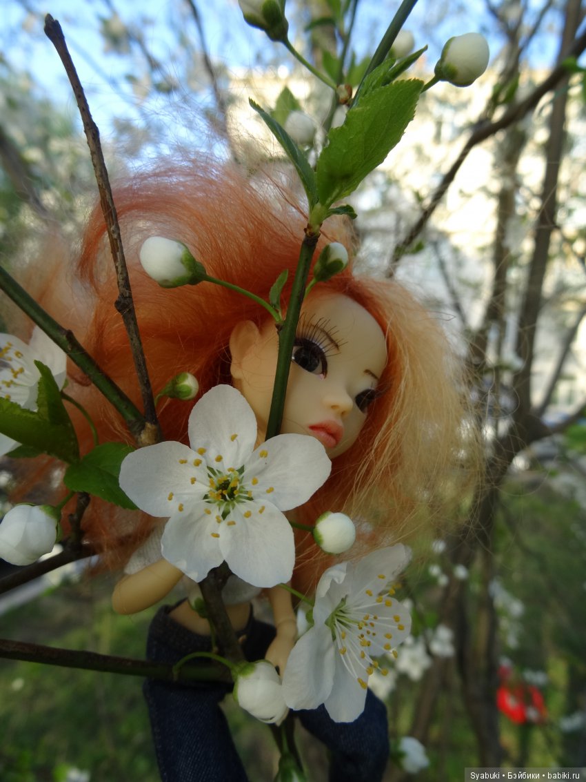 Ирже. Цветение — Куклы AmiGaTa (АмиГаТа): авторские BJD (БЖД) (фото 7)