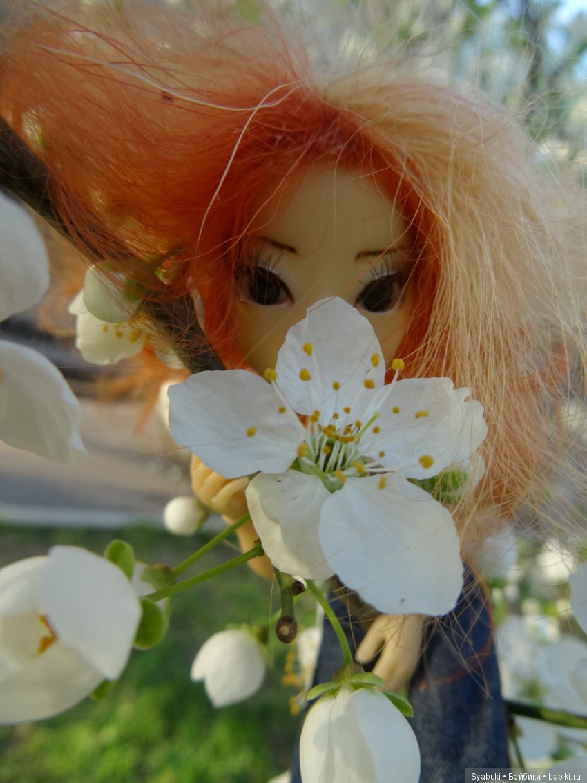 Ирже. Цветение — Куклы AmiGaTa (АмиГаТа): авторские BJD (БЖД)