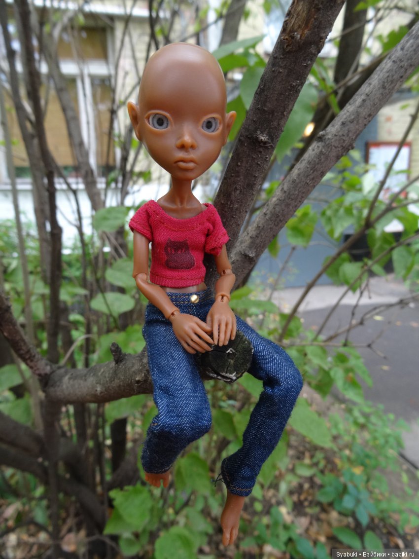 Вторая история — Куклы AmiGaTa (АмиГаТа): авторские BJD (БЖД) (фото 3)