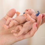 Небольшая галерея моих авторских кукол за 2015 год. Victoria Vihareva-Pechenkina