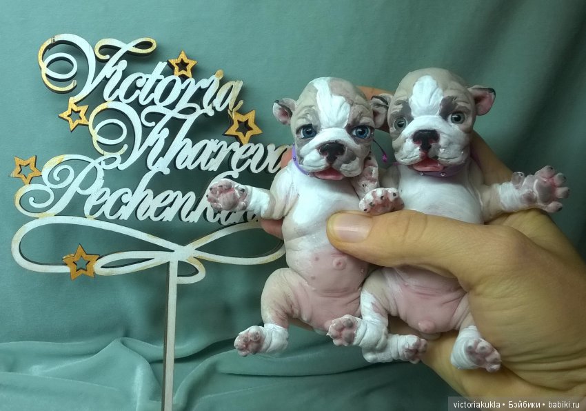 Puppies English bulldog (silicone) by Victoria Vihareva-Pechenkina (фото 7)