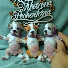 Puppies English bulldog (silicone) by Victoria Vihareva-Pechenkina