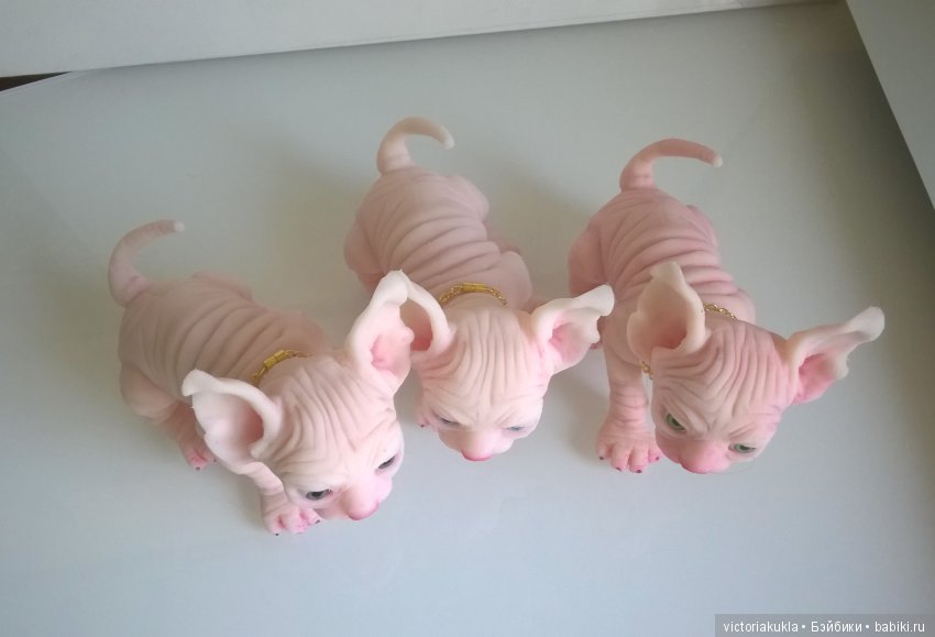 Silicone kittens by Victoria Vihareva-Pechenkina