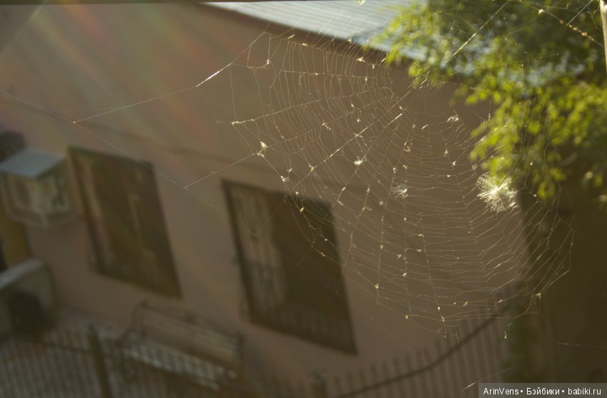 Уходящее лето — Аниме куклы (MJD/Винил): Imomo (фото 2)