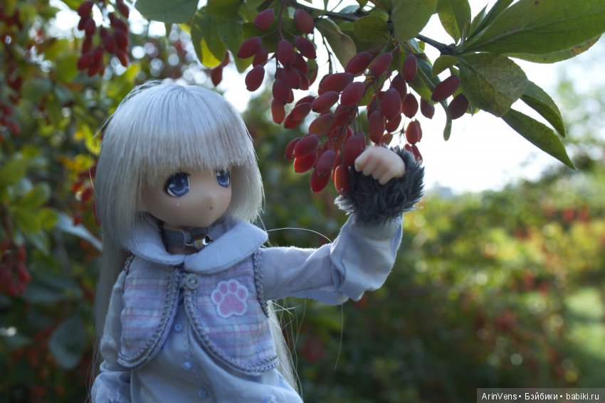 Уходящее лето — Аниме куклы (MJD/Винил): Imomo (фото 4)