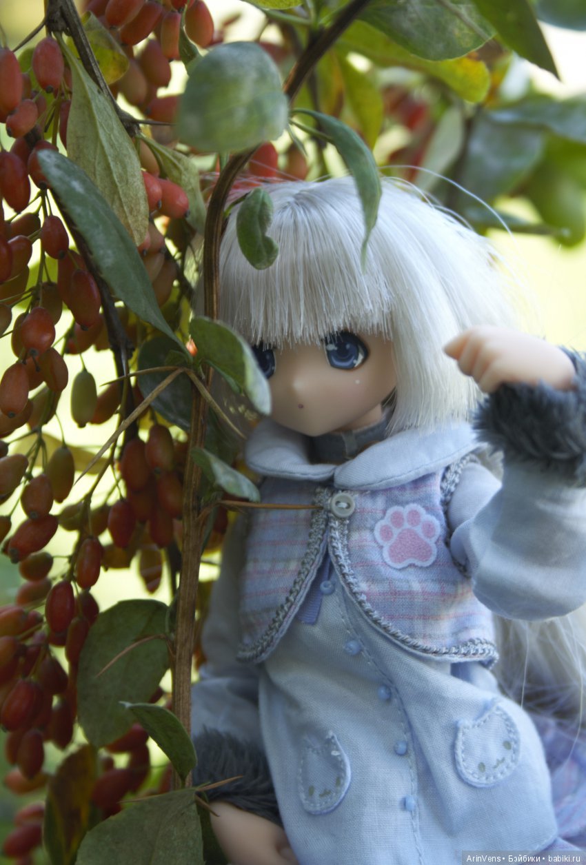 Уходящее лето — Аниме куклы (MJD/Винил): Imomo (фото 3)