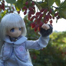 Уходящее лето