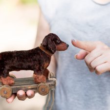 "Плюшки" на тележках