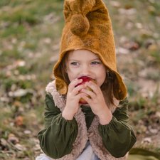 Осенние гномы