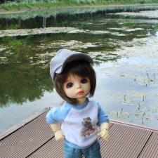 У Московского пруда. Или куда деваются утки