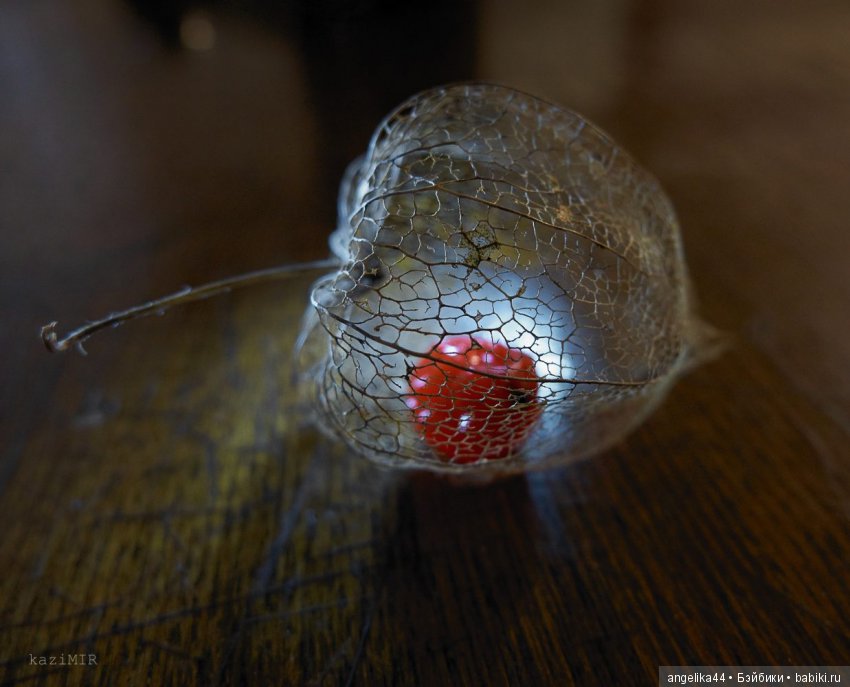 Мечты сбываются или чудеса там, где в них верят (фото 3)