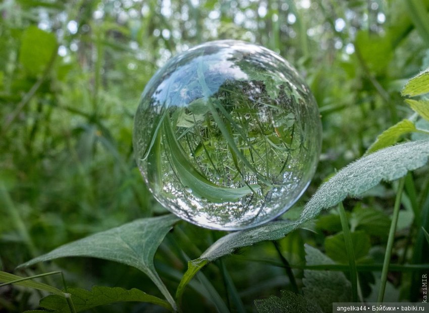 Мечты сбываются или чудеса там, где в них верят (фото 2)