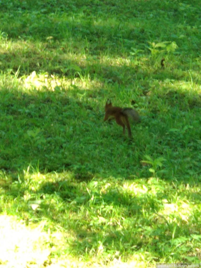 Мой Митенька — Игрушки СССР и советского детства: резиновые