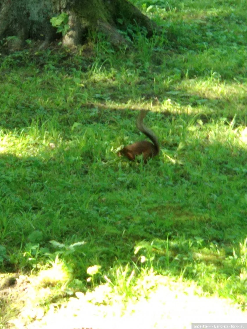 Мой Митенька — Игрушки СССР и советского детства: резиновые