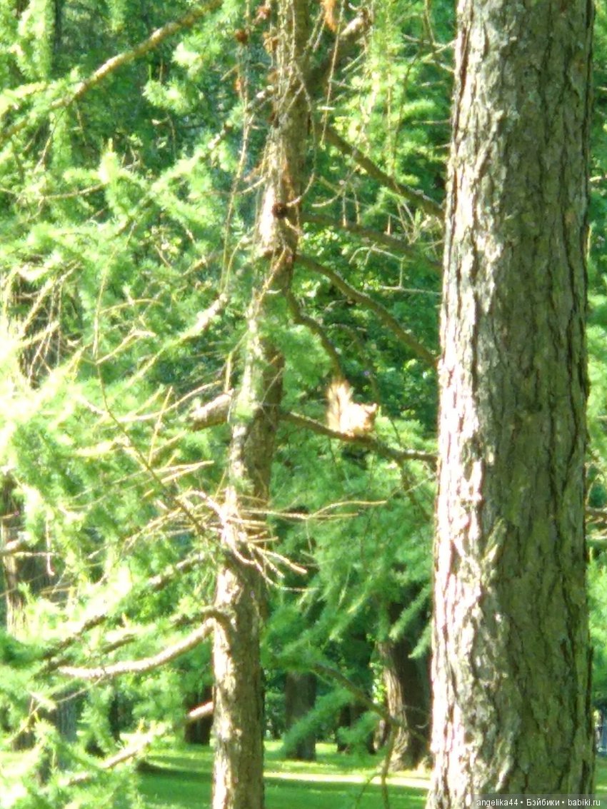 Мой Митенька — Игрушки СССР и советского детства: резиновые