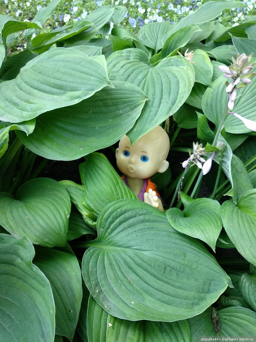 Мой Митенька — Игрушки СССР и советского детства: резиновые