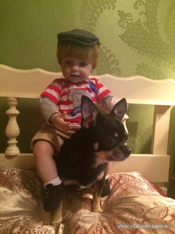 Мой верный друг | Бэйбики Мой верный друг — Болталка и разговоры обо всем: жизнь (фото 3)