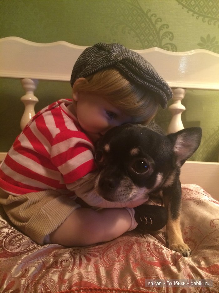 Мой верный друг | Бэйбики Мой верный друг — Болталка и разговоры обо всем: жизнь (фото 5)