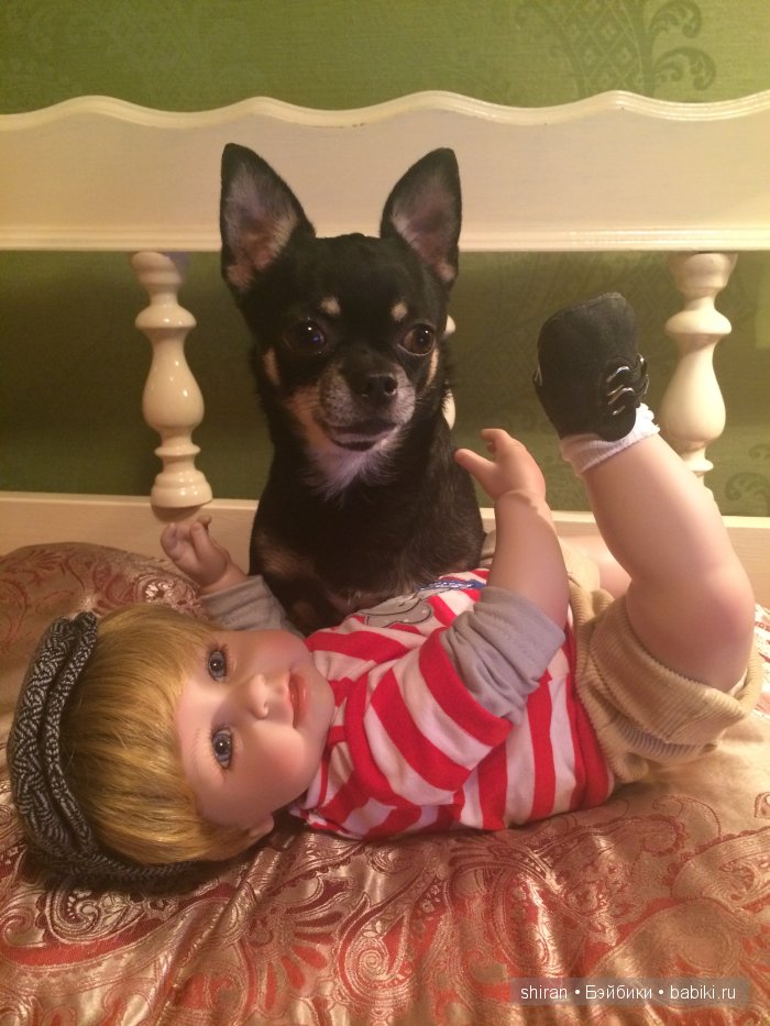 Мой верный друг | Бэйбики Мой верный друг — Болталка и разговоры обо всем: жизнь (фото 4)