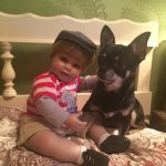 Мой верный друг.