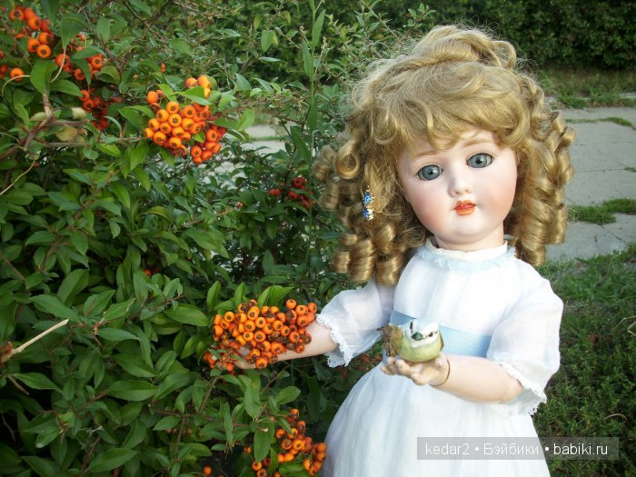 Пола рядом с куста и птичкой