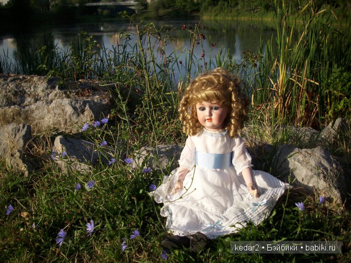 синие цветочки