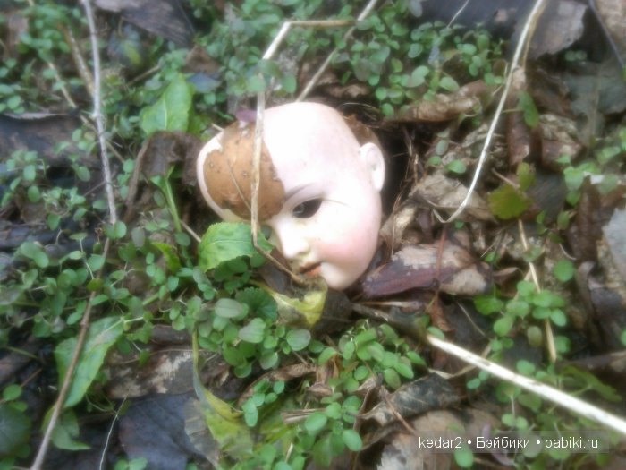 головка в траве