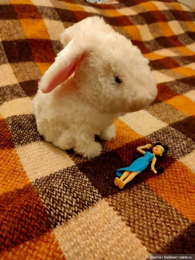 Показываю своих бедолаг! Первый пробный топик