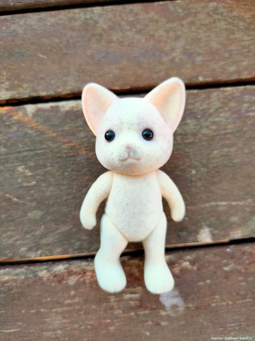 Показываю своих бедолаг! 5 серия (фото 9)