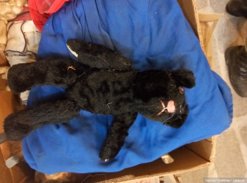 Тайные сокровища антикварного магазина