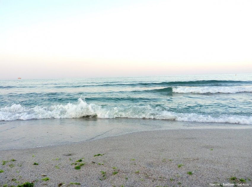 Показываю своих бедолаг! 24 серия