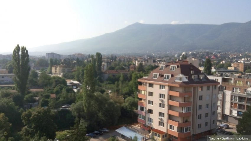 Показываю своих бедолаг! 24 серия