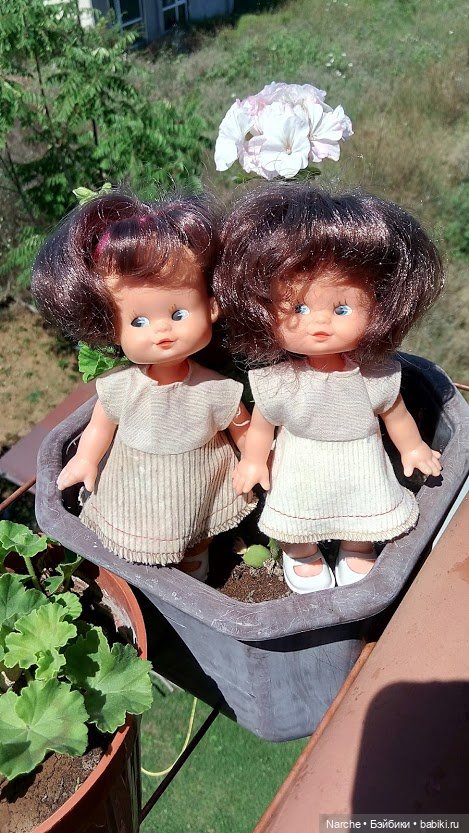 Показываю своих бедолаг! 24 серия