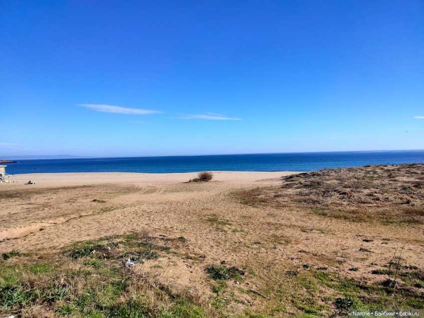 Показываю своих бедолаг! 24 серия