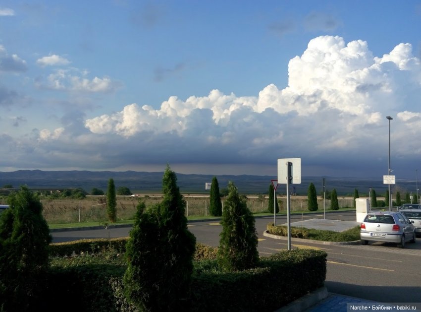 Показываю своих бедолаг! 25 серия | Бэйбики Показываю своих бедолаг! 25 серия