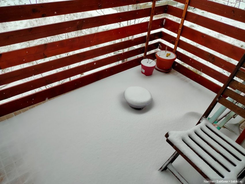 Показываю своих бедолаг! 25 серия | Бэйбики Показываю своих бедолаг! 25 серия