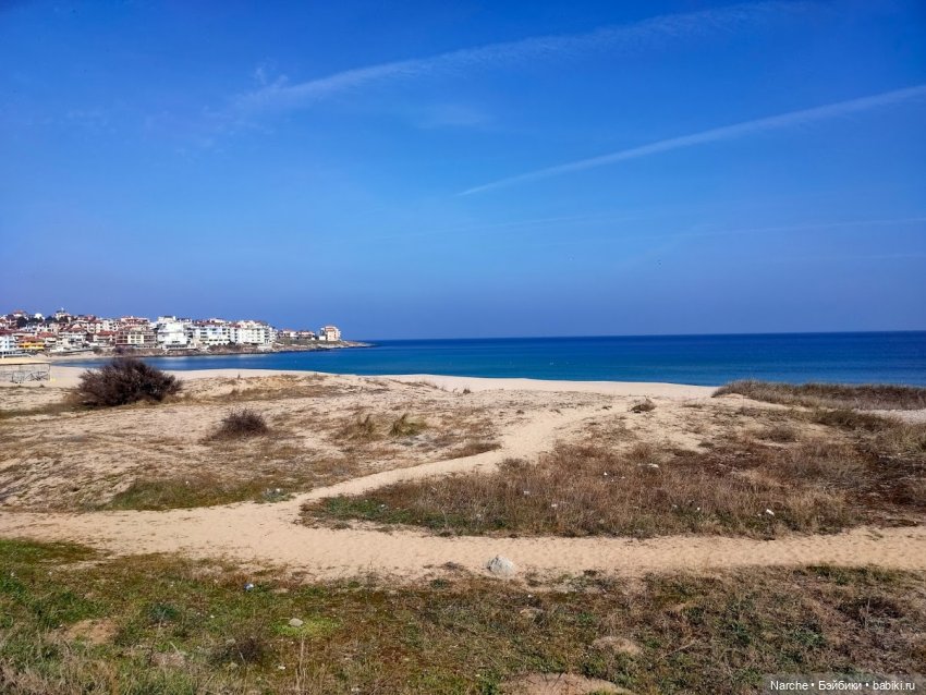 Показываю своих бедолаг! 25 серия | Бэйбики Показываю своих бедолаг! 25 серия