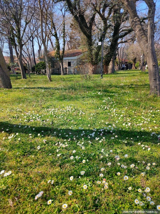 Показываю своих бедолаг! 28 серия, заключительная