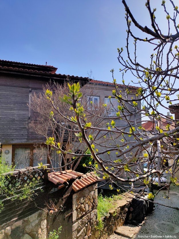 Новоселы-2 — Коллекции винтажных кукол и игрушек: СССР