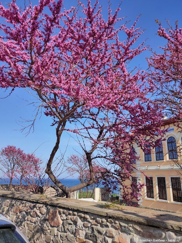 Новоселы-2 — Коллекции винтажных кукол и игрушек: СССР