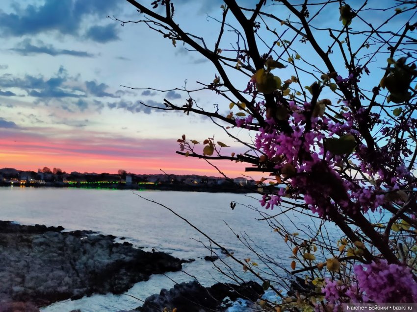 Новоселы-2 — Коллекции винтажных кукол и игрушек: СССР