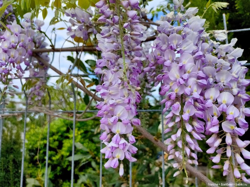 Новоселы-2 — Коллекции винтажных кукол и игрушек: СССР