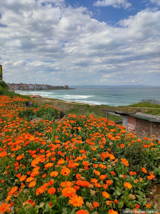 Новоселы-2 — Коллекции винтажных кукол и игрушек: СССР