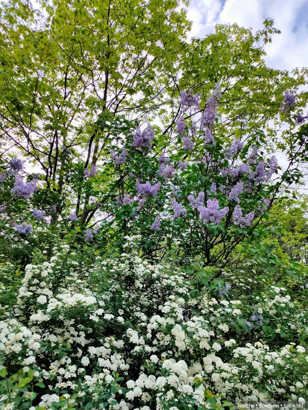 Новоселы-2 — Коллекции винтажных кукол и игрушек: СССР