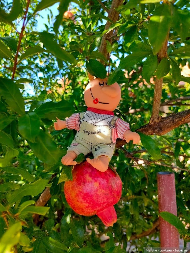 Маленькое путешествие на Акру (фото 4)